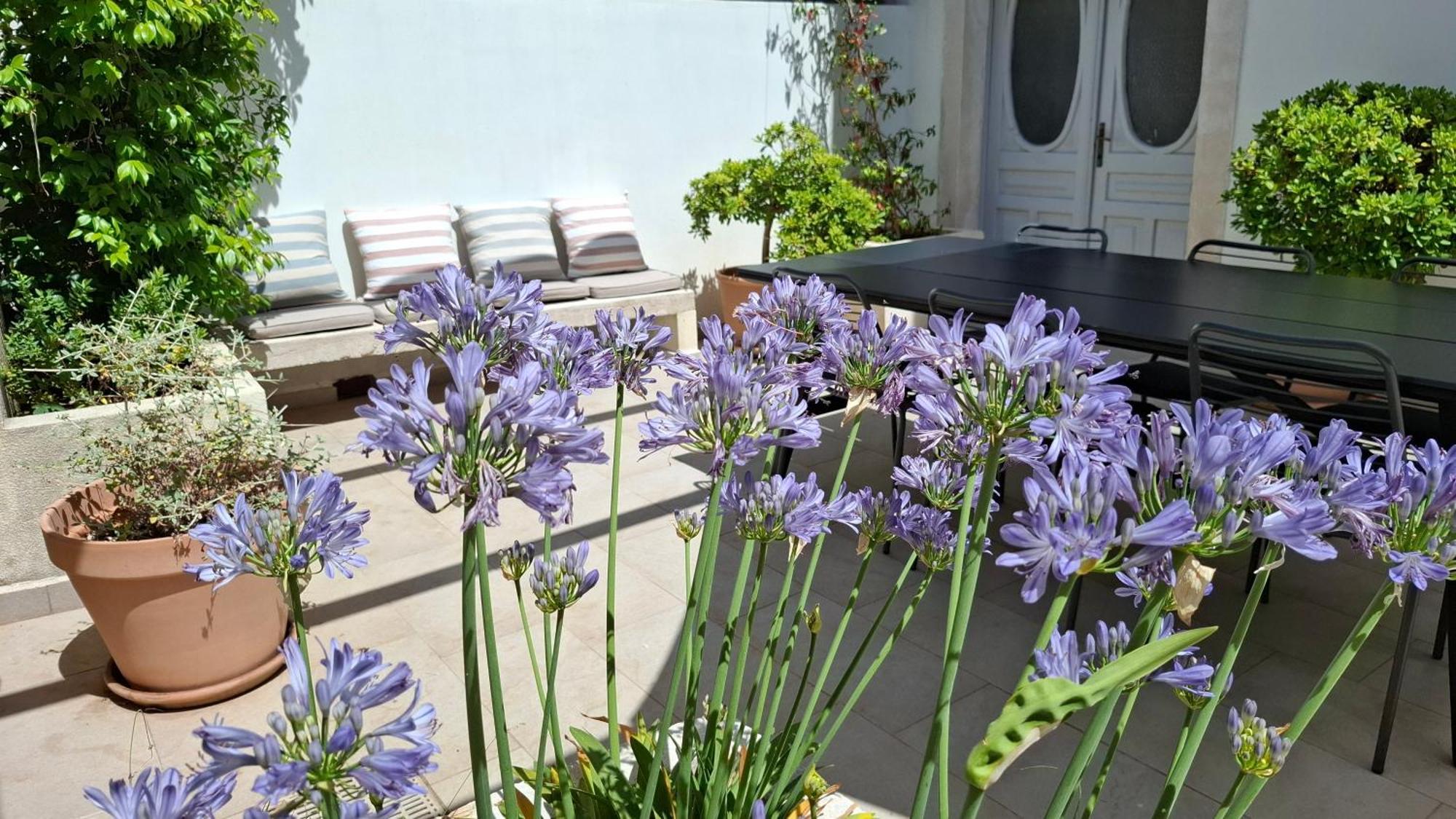 Villa Mira With A Heated Pool And A Sea View Bozava Luaran gambar